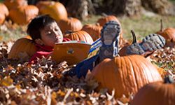 Pumpkin patches come loaded with fun -- and photo opportunities.