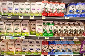 milk in supermarket