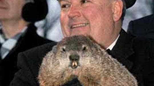 Family Vacations: Groundhog Day