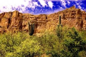 Ancient Puebloans built multi-storied stone and adobe dwellings into these cliffs.