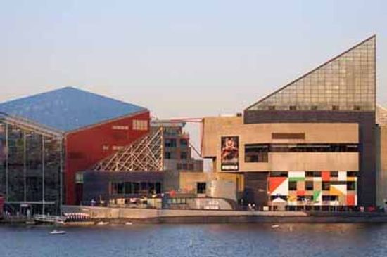 家庭度假:巴尔的摩国立水族馆”class=