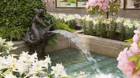 Family Vacations: Rockefeller Center