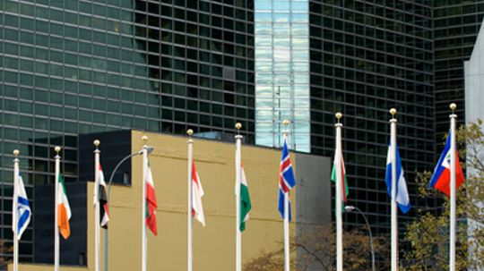 Family Vacations: United Nations