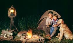 Camping outdoors with dog and tent for fun vacations.