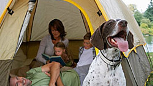 5 Tips for Family Camping with the Dog