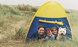 提前准备狗可以帮助您在露营地觉得更舒适。＂border=
