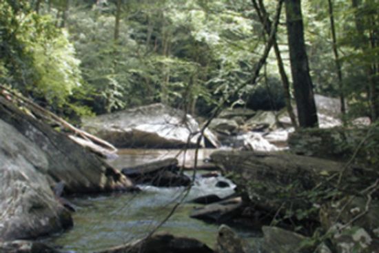 18新利最新登入我们怎样才能加快光降解塑料?”class=