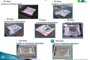 photodegradation process of plastic bags