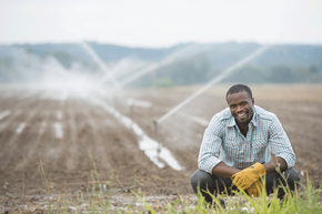 Farmer 