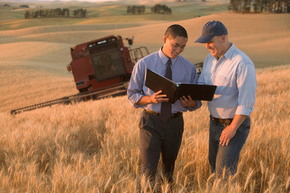 Farmer and Businessman 