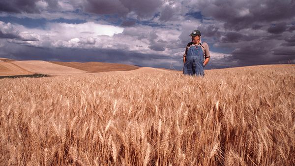farmer stands in field