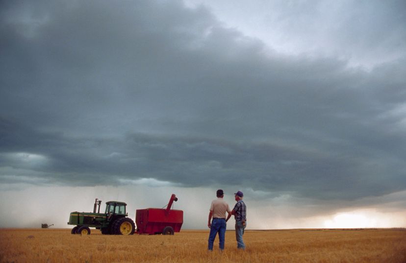 farmer stands in field