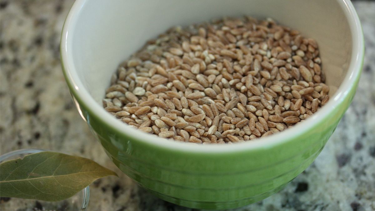 Farro Is an Ancient Grain Having a Modern Revival HowStuffWorks