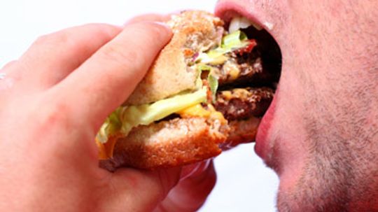 Knowing the Enemy: Why Does Fat Taste So Good?