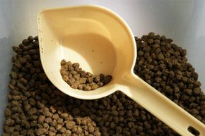 在正常的商业饮食中，很少有狗摄入不足的omega-6脂肪酸。”border=