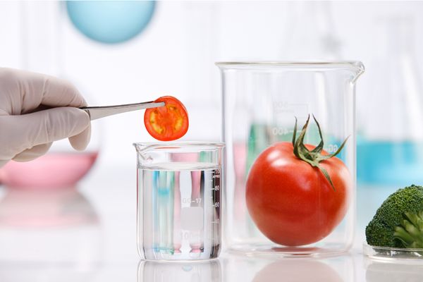 Fresh tomatoes for healthy eating.