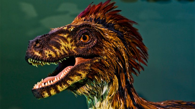 feathered dinosaur portrait