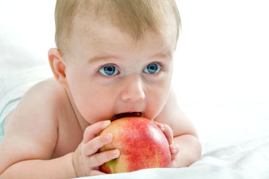 Your Baby's Reflexes