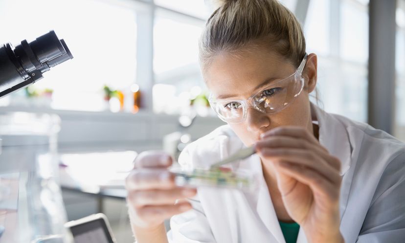 Quiz: Fabulous Female Scientists