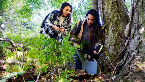 Men and women in nature, outdoors in forest.