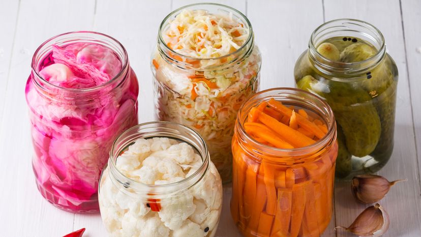 fermented foods	