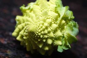 Take a good look at this Romanesco cauliflower -- its spiral follows the Fibonacci sequence.