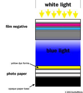 这张图显示了彩色负片在白光下放大后的横截面。白光穿过薄膜形成蓝光，蓝光激活彩色打印纸上的蓝色敏感层，产生黄色染料。＂border=