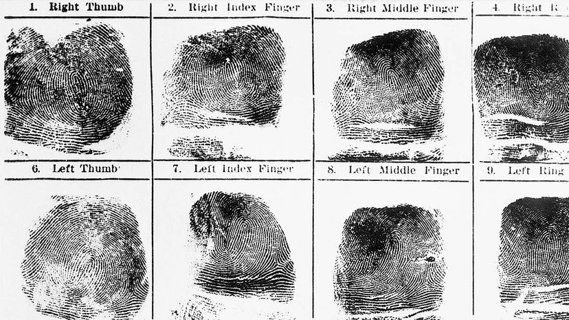 fingerprints, death