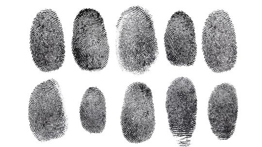 Why Even Identical Twins Have Different Fingerprints