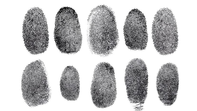 Fingerprints on a white background