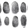 Why Even Identical Twins Have Different Fingerprints