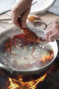 Can lobsters feel the pain of that boiling water?