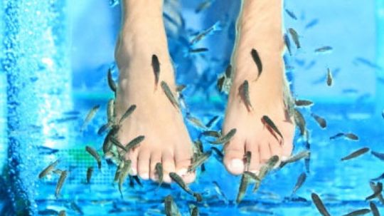 How does a fish pedicure work?