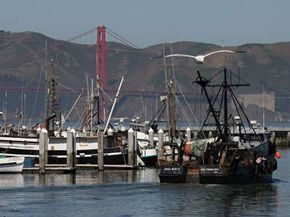 Fishing boats at San Francisco harbor