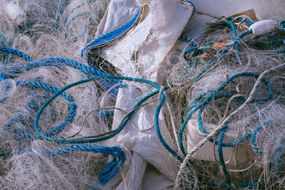 White plastic fishing nets and blue ropes bundled together in a mess