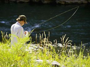 Texas Fishing Licenses, Laws, and Regulations –