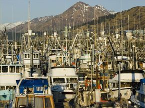 With harbors like this one in Alaska, it's no wonder many U.S. waters are overfished.