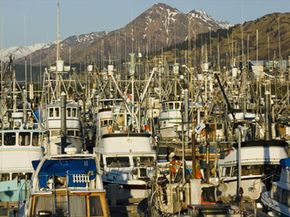 Busy harbor