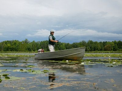 Fishing reports are typically broken down by geographic area and body of water.