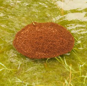 fire ant raft floating on floodwater