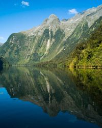 The dramatic cliffs of Doubtful Sound, Fjordland, South Island, New Zealand.