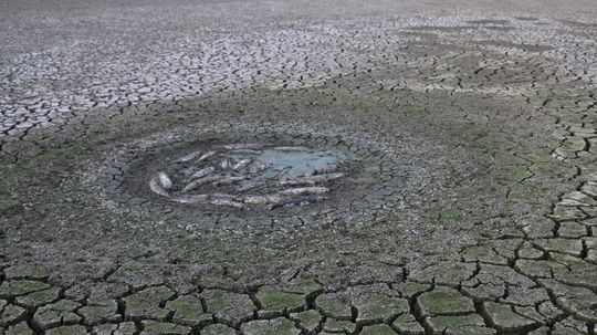 What Is a Flash Drought? An Earth Scientist Explains