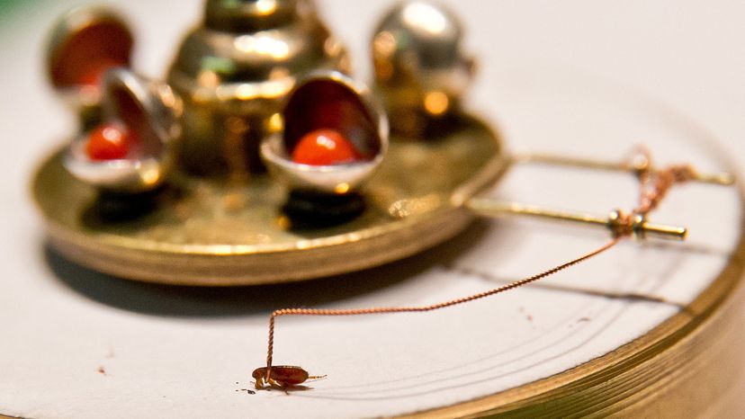 flea pulling carousel