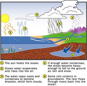 What Is a Flood and Why Is the Surge of Water So Dangerous?