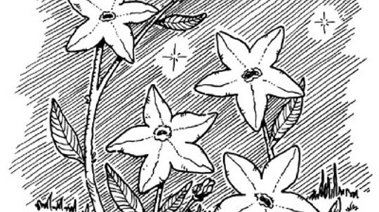 儿童花工艺品＂width=