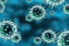 A shot of the H1N1 flu virus. Viruses constantly mutate which is why you need a new flu shot each season.