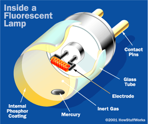 Fluorescent light store gas