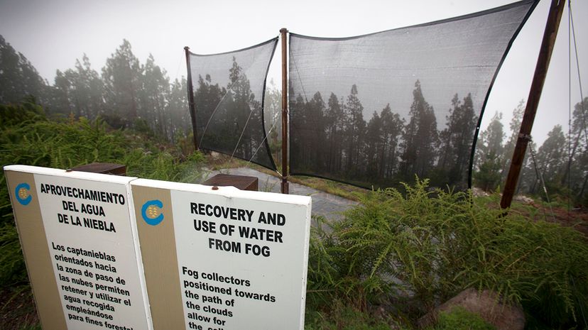 fog harvesting fog nets