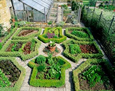 geometric garden