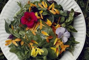 Edible flowers can make an attractive edition to a meal.